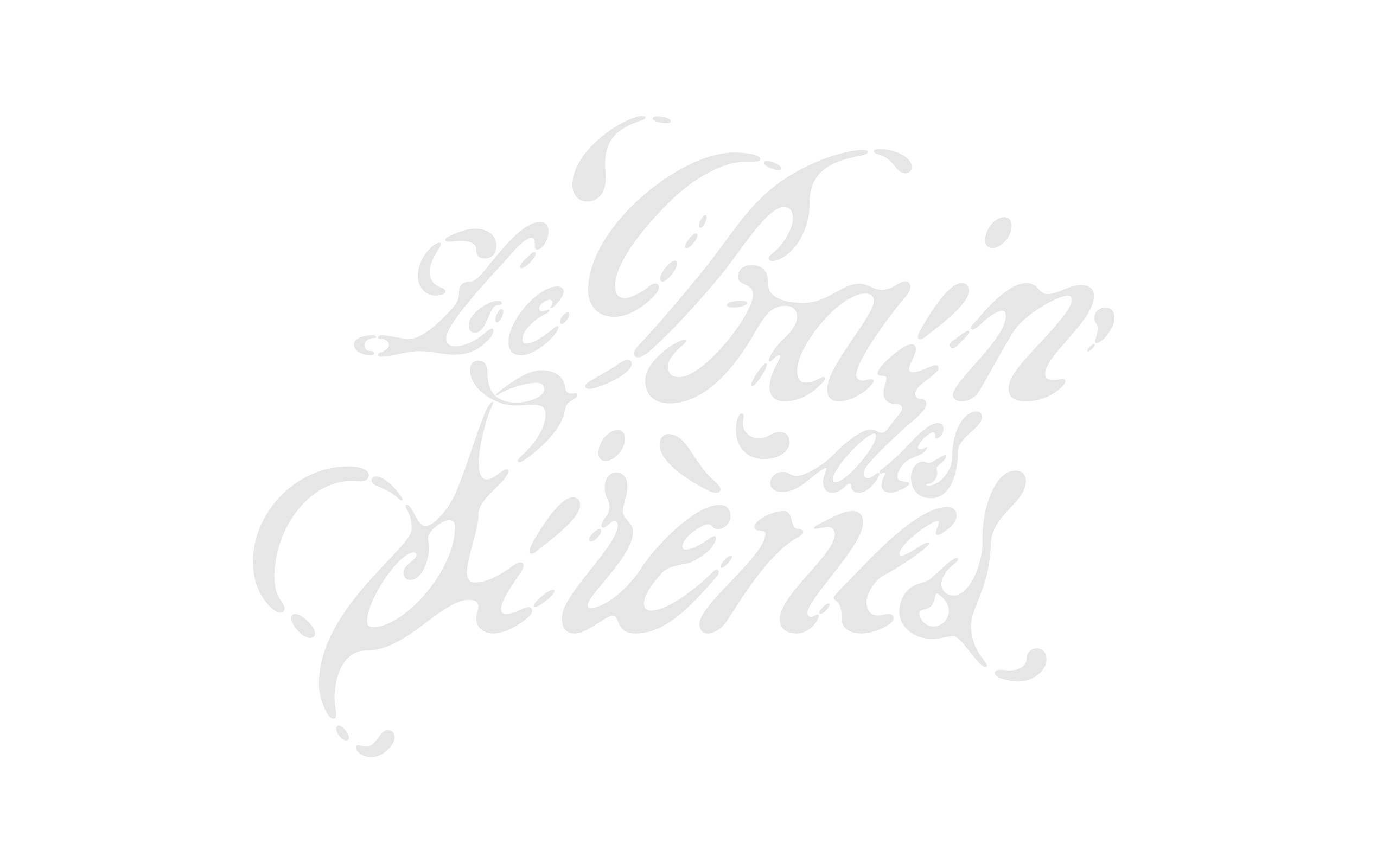 Capture d’écran de la fonction Edition rapide CSS